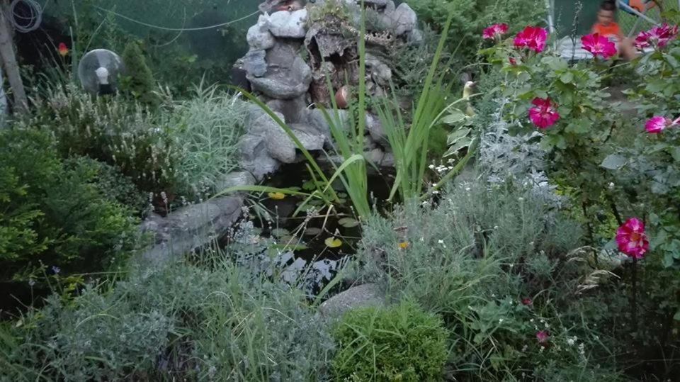 Veselata Guest House Dolna Banya Dış mekan fotoğraf