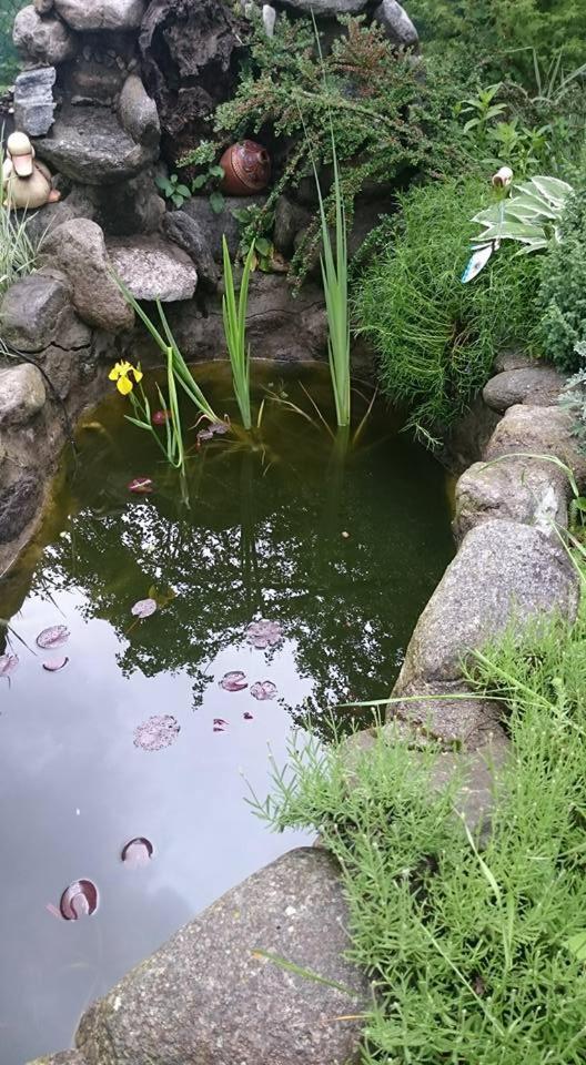 Veselata Guest House Dolna Banya Dış mekan fotoğraf