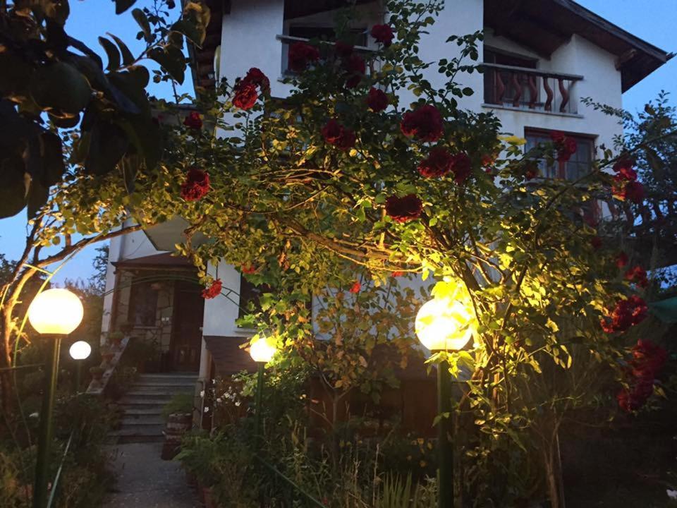 Veselata Guest House Dolna Banya Dış mekan fotoğraf
